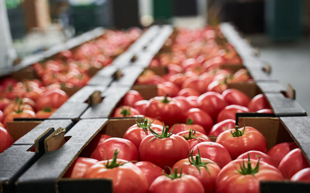 The importance of food safety in fruit and vegetable packaging.